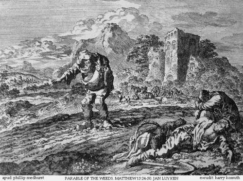 2026-01-13_01-52-215426201759141710041